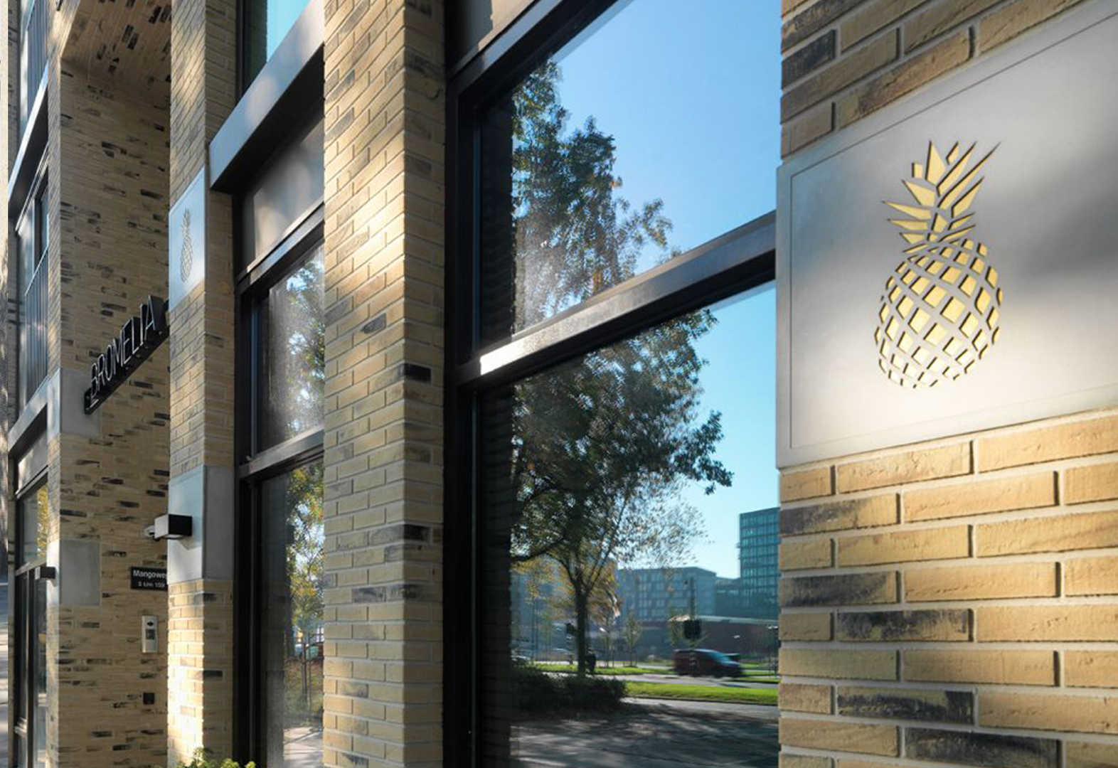 Appartementencomplex De Ananas, Leiden | Strikolith