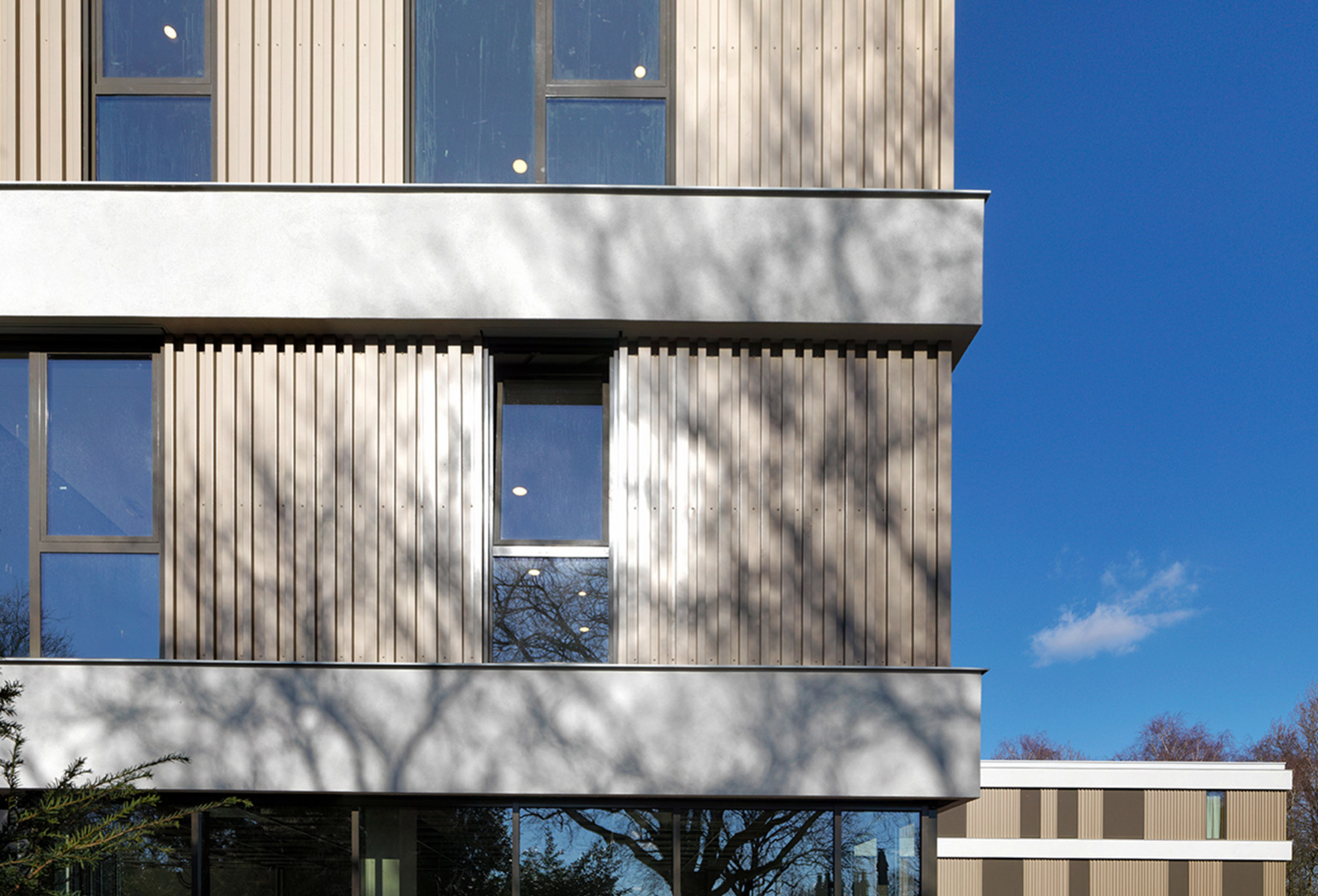 Revalidatiecentrum State Referentieproject, Hillegersberg | Strikolith