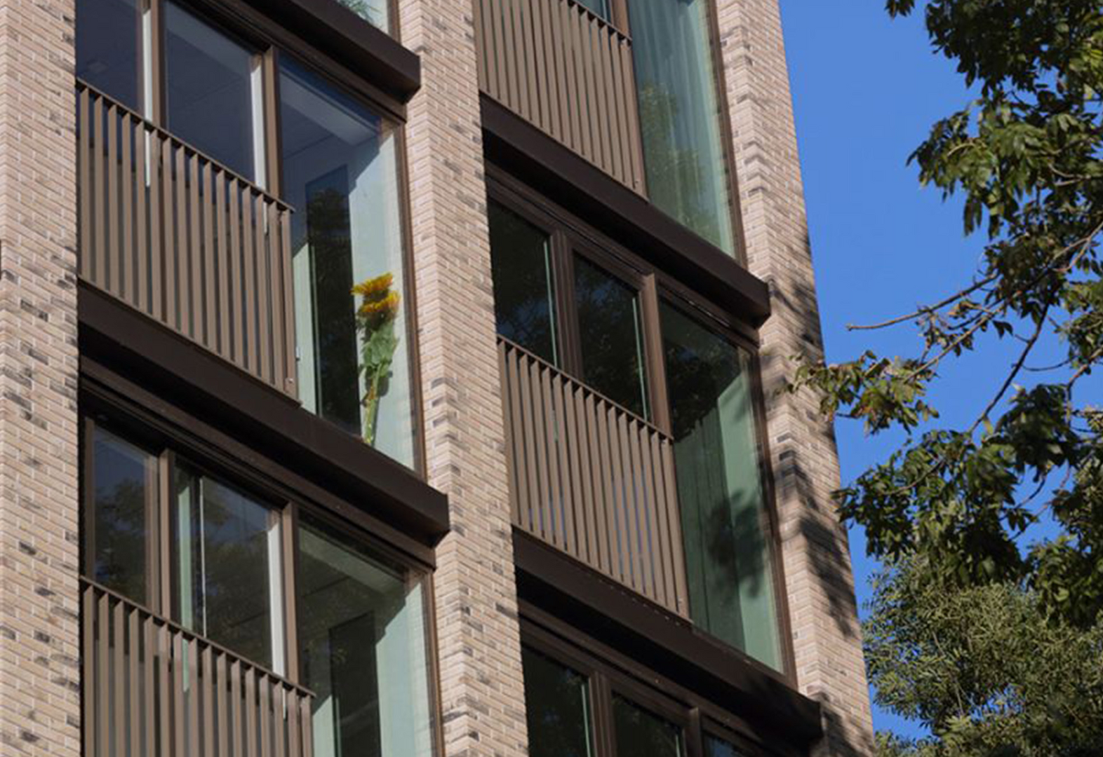 Appartementencomplex De Ananas, Leiden | Strikolith