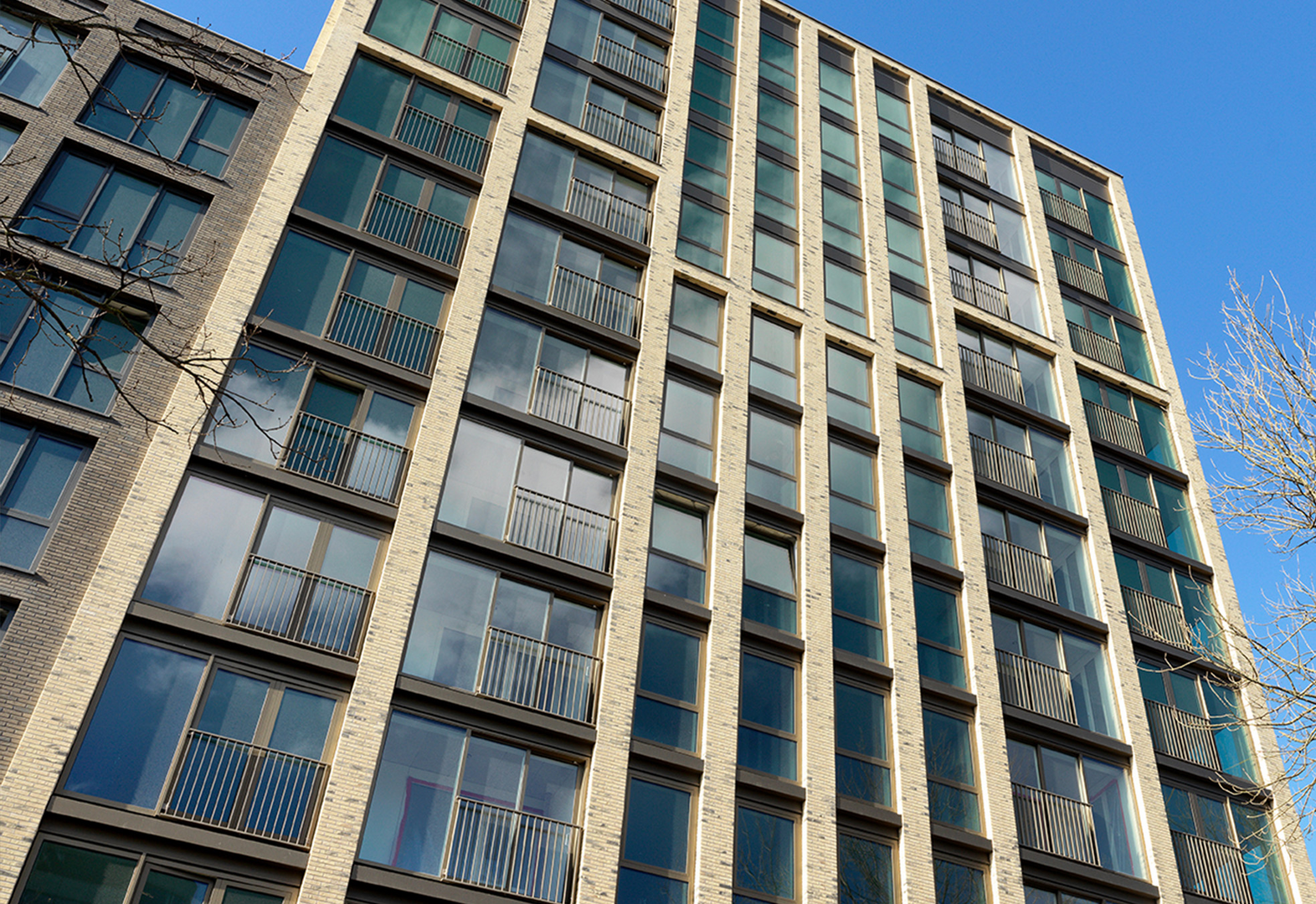 Appartementencomplex De Ananas, Leiden | Strikolith