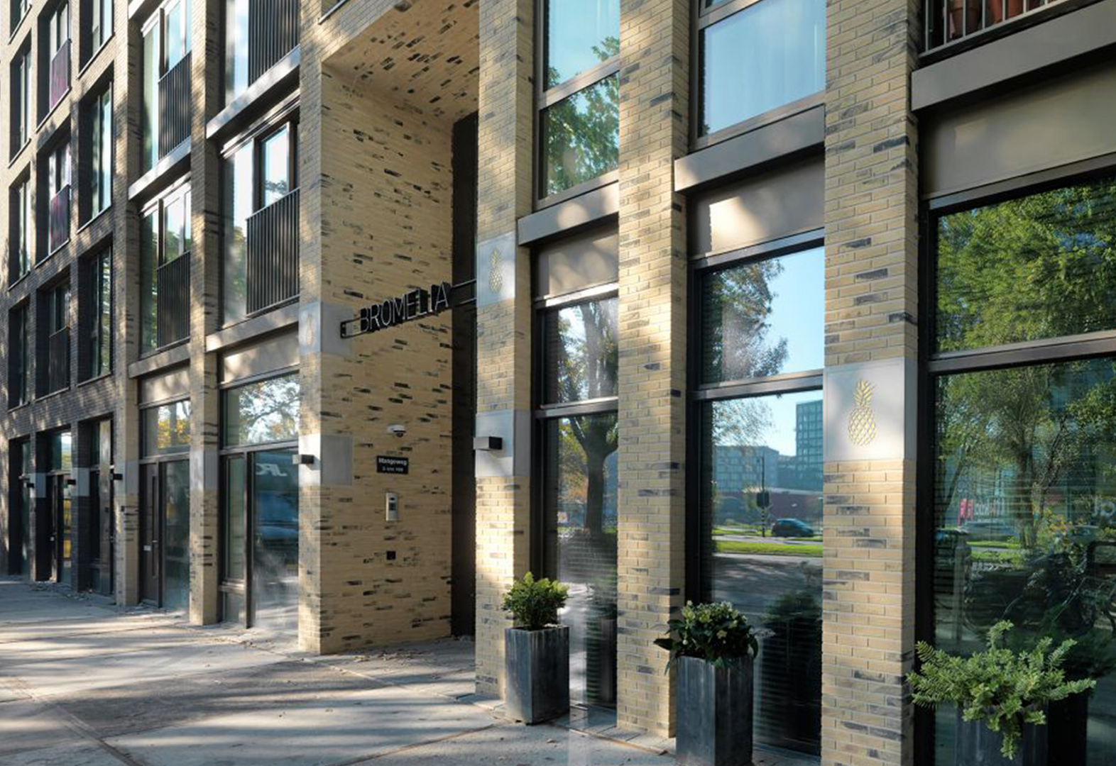 Appartementencomplex De Ananas, Leiden | Strikolith