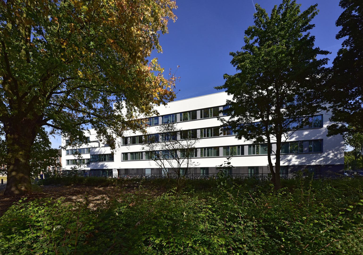Avans hogeschool, Breda | Refrerentieproject | Strikolith