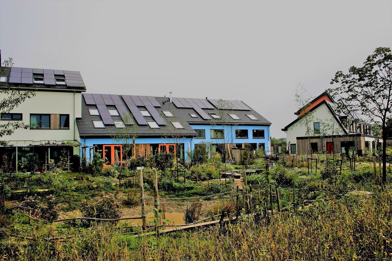 Ecowijk Mandora, Houten | Projecten | Strikolith