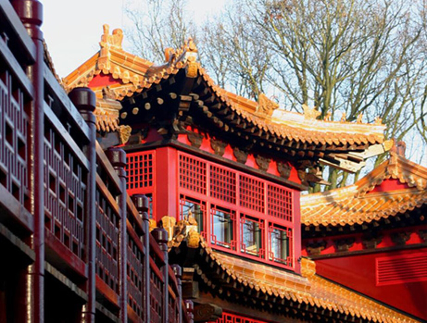 Pandasia Ouwehands Dierenpark Rhenen | Projecten | Strikolith