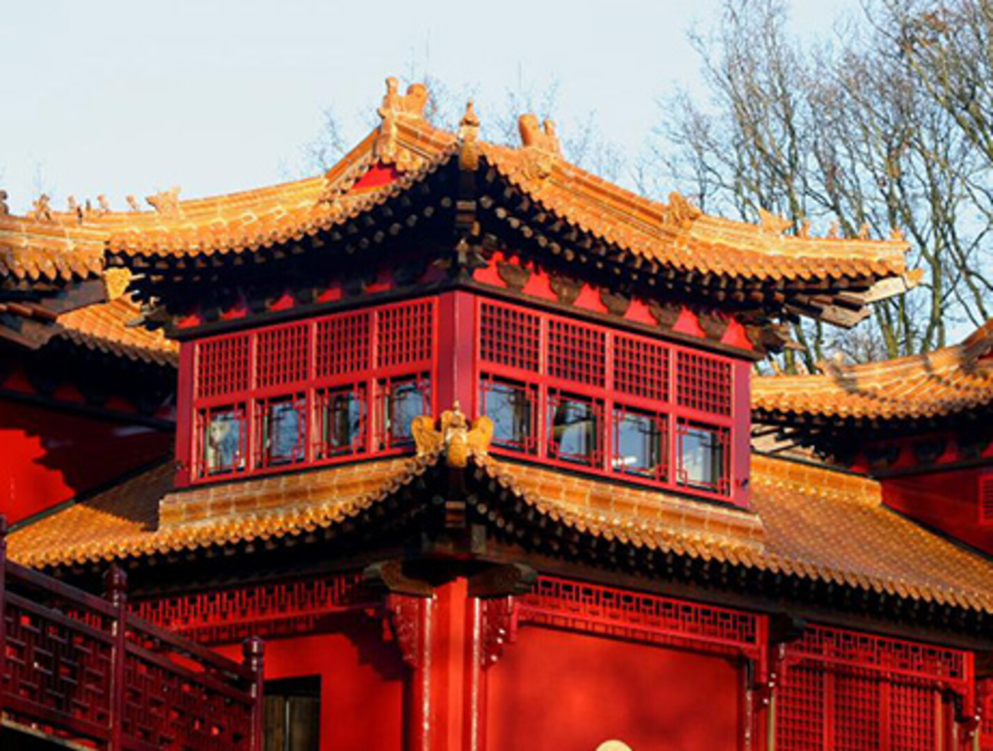 Pandasia Ouwehands Dierenpark Rhenen | Projecten | Strikolith