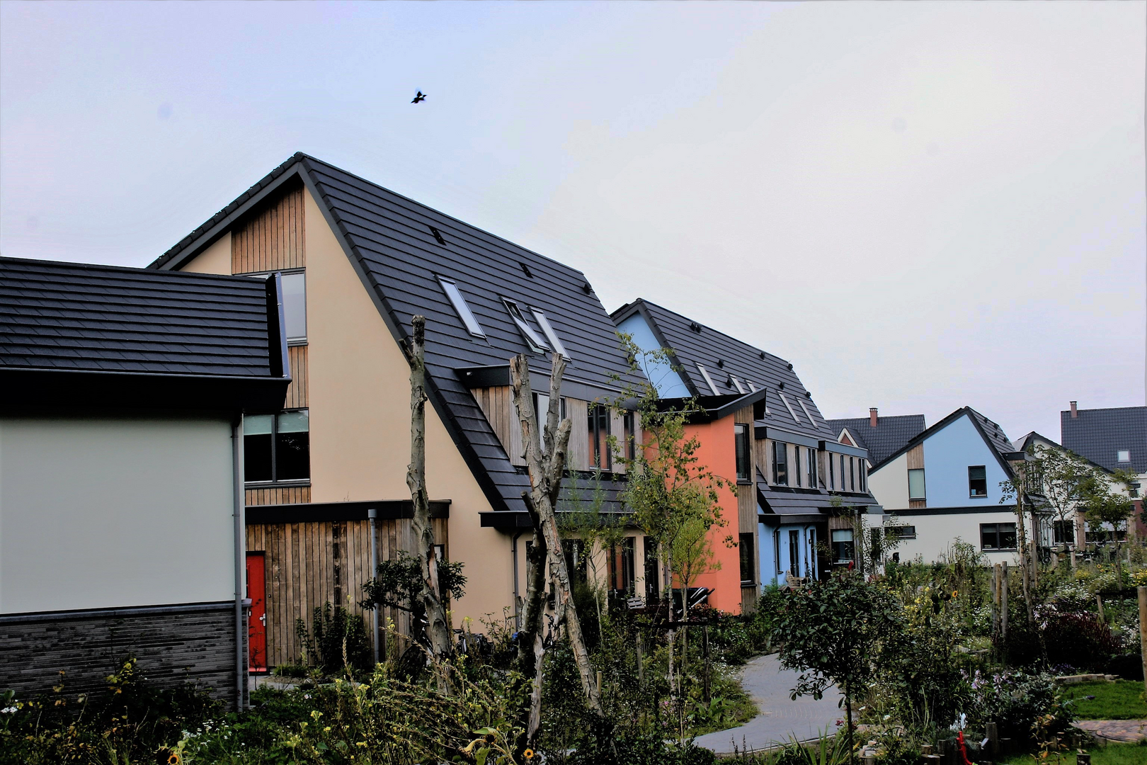 Ecowijk Mandora, Houten | Projecten | Strikolith